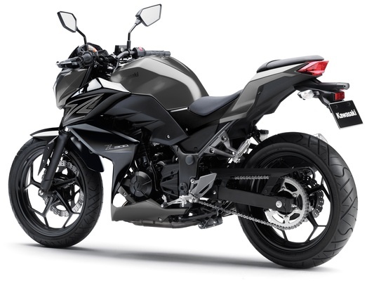 Фото мотоцикла Kawasaki Z300 ABS